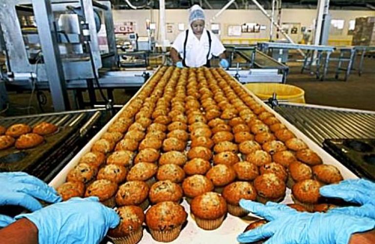 Technology: The dynamic Force of Food Processing in India