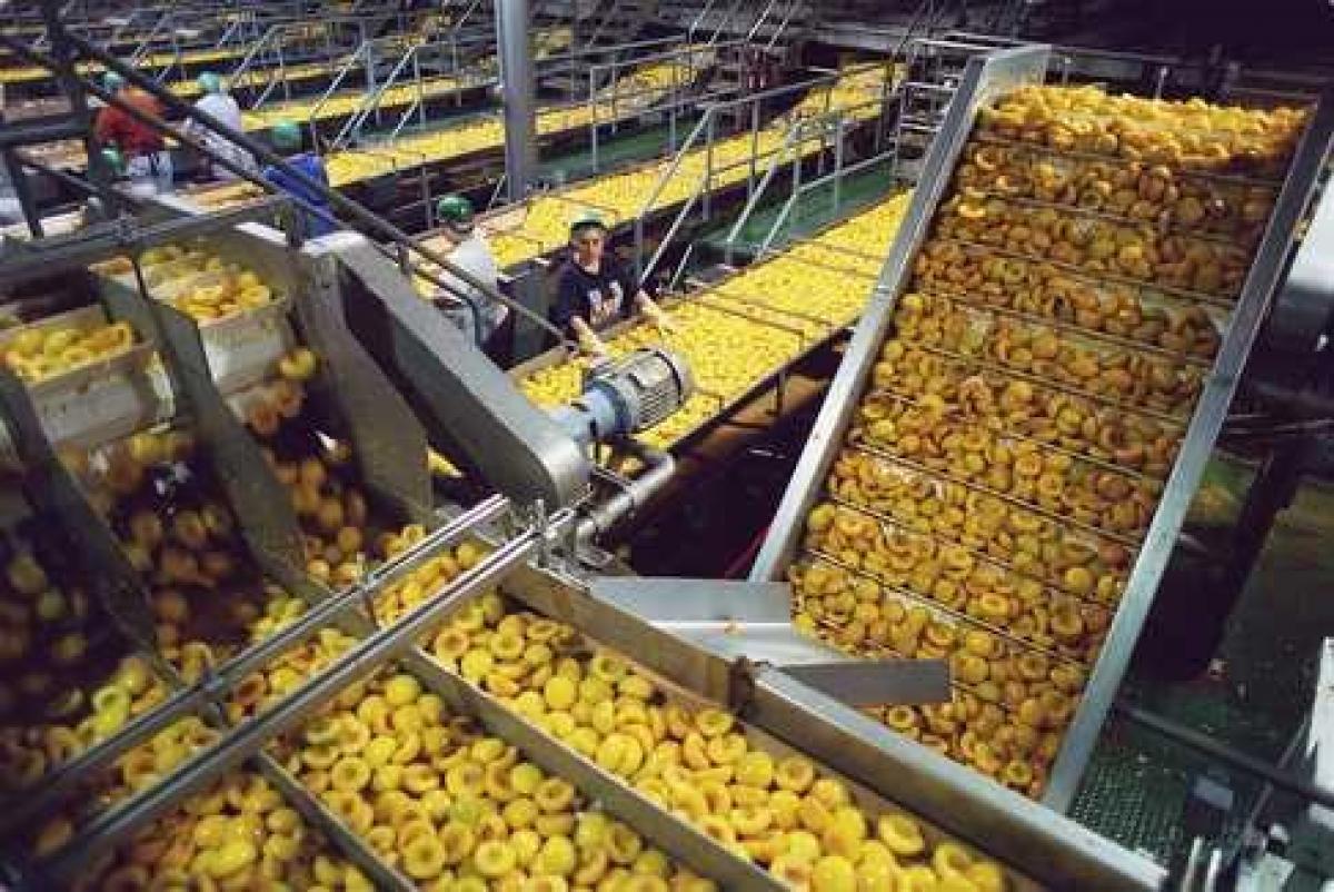 Food 2024 processing industry