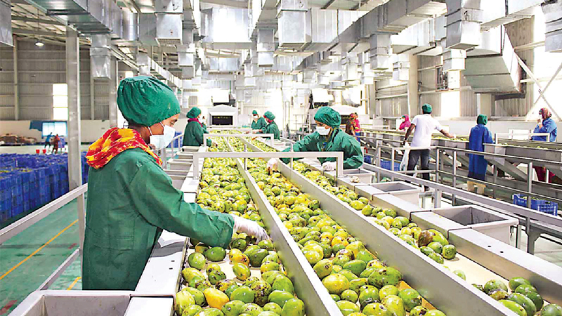 huge-growth-of-msmes-in-the-food-processing-sector